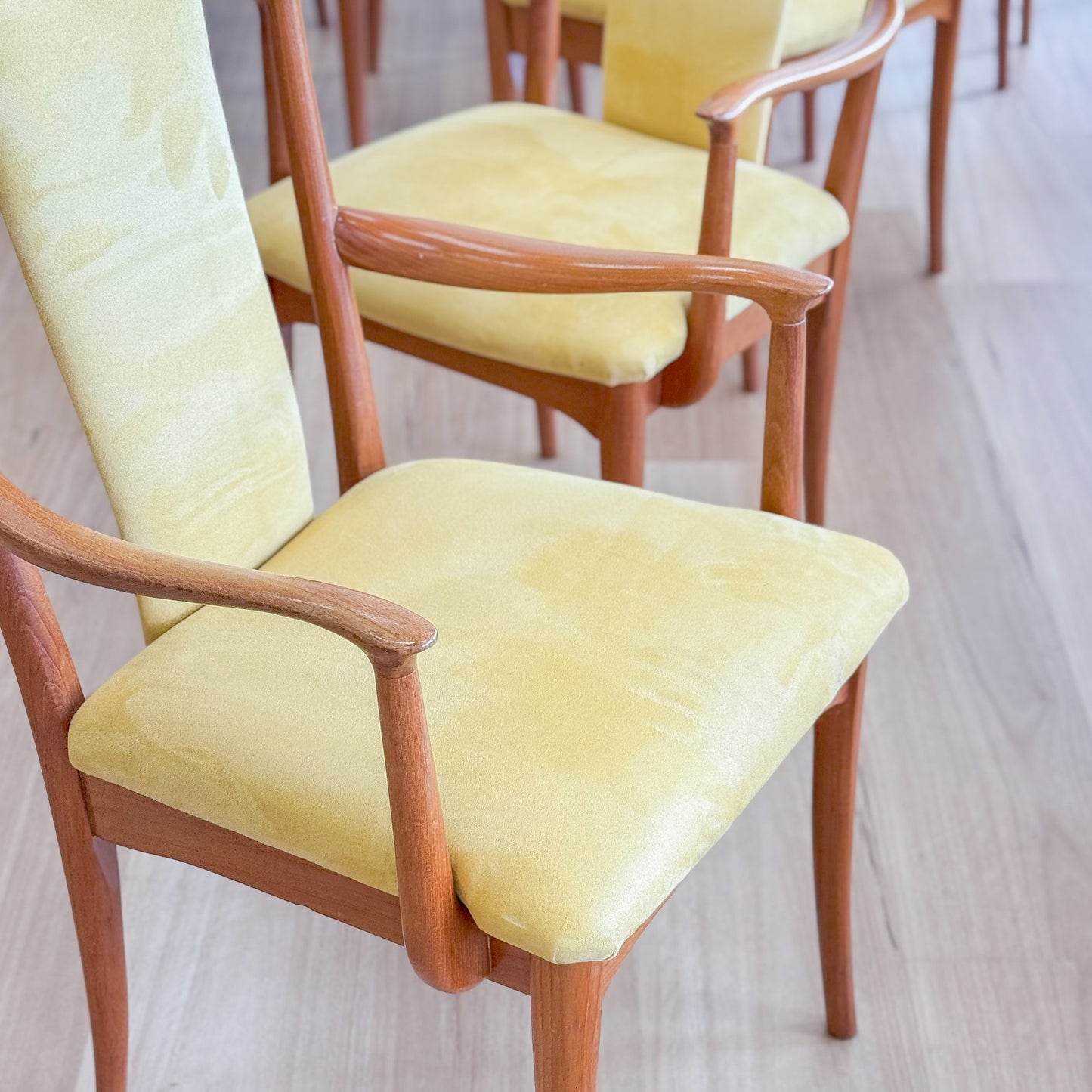 Set of 8 Parker Dining chairs including two carvers