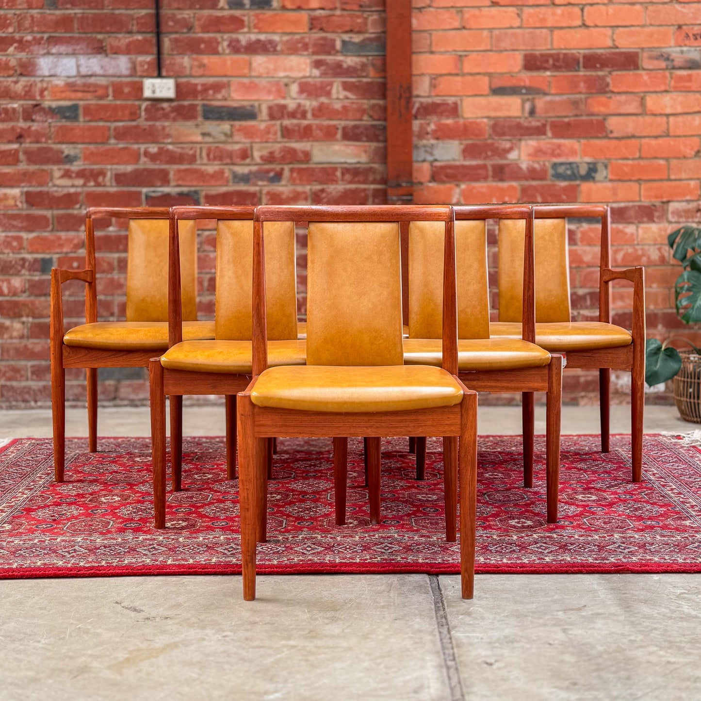 Set of 6 Parker t-back dining chairs including two carvers